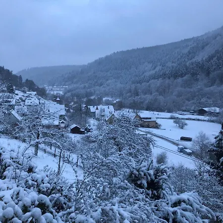 Waldglueck Calw