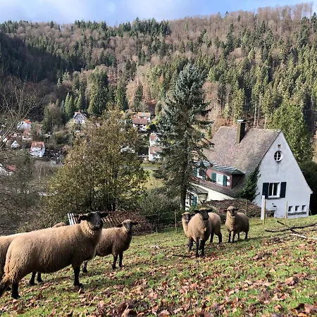 Holiday home Waldglueck