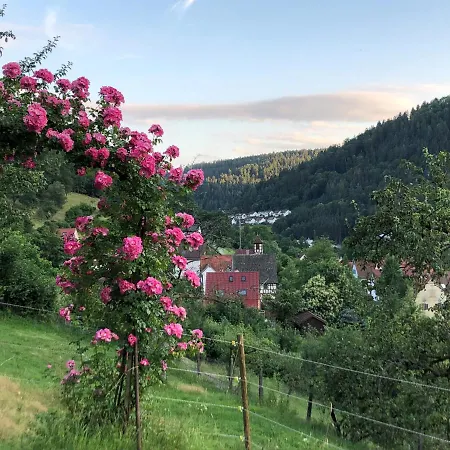 Waldglueck Calw